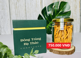 Nấm Ngon Việt - Bao Bì Mới Đông Trùng Hạ Thảo - Sang Trọng - Tinh Tế
