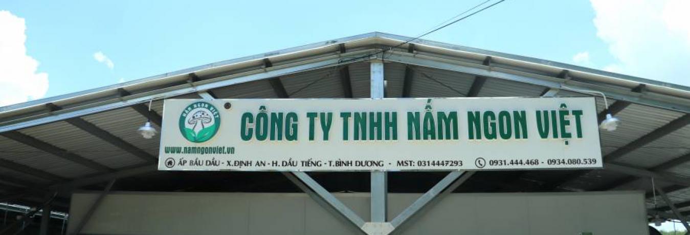 Nhà xưởng sản xuất Nấm Ngon Việt