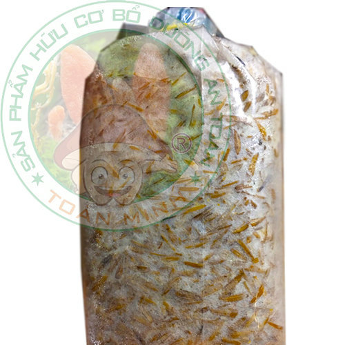 Meo nấm rơm