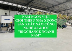 Xem video về xưởng sản xuất nấm 4.0 công nghệ iot - công ty Nấm Ngon Việt
