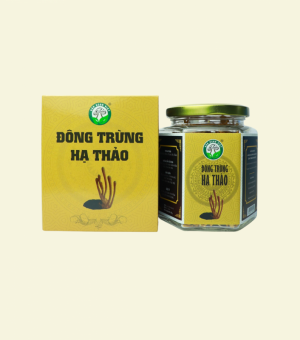 Đông Trùng Hạ Thảo Tiêu Chuẩn 20G