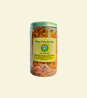 Đông Trùng Hạ Thảo Tiêu Chuẩn 50G