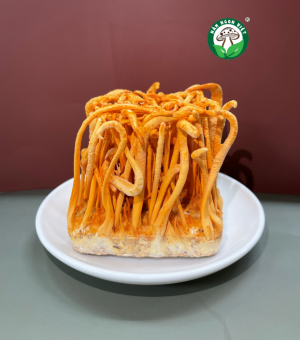 ĐÔNG TRÙNG HẠ THẢO SẤY THĂNG HOA NGUYÊN KHỐI CAO CẤP