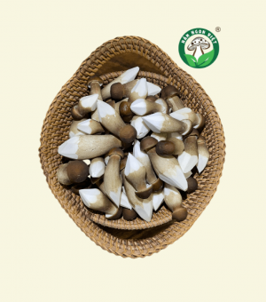 Nấm Mối Đen Tươi 1KG