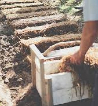 Hướng Dẫn Cách Trồng Nấm Rơm Từ A–Z Cho Người Mới Bắt Đầu