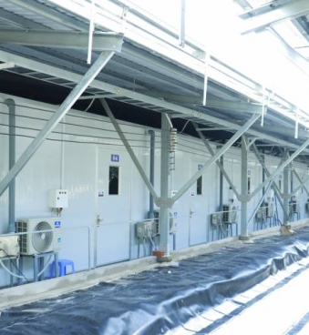 CHI PHÍ ƯỚC TÍNH NHÀ TRỒNG NẤM MỐI ĐEN