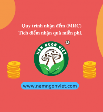 QUY TRÌNH NHẬN ĐIỂM (MRC) TỪ NẤM NGON VIỆT
