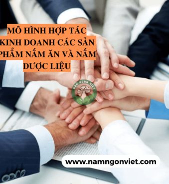 MÔ HÌNH HỢP TÁC KINH DOANH CÁC SẢN PHẨM NẤM ĂN VÀ NẤM DƯỢC LIỆU