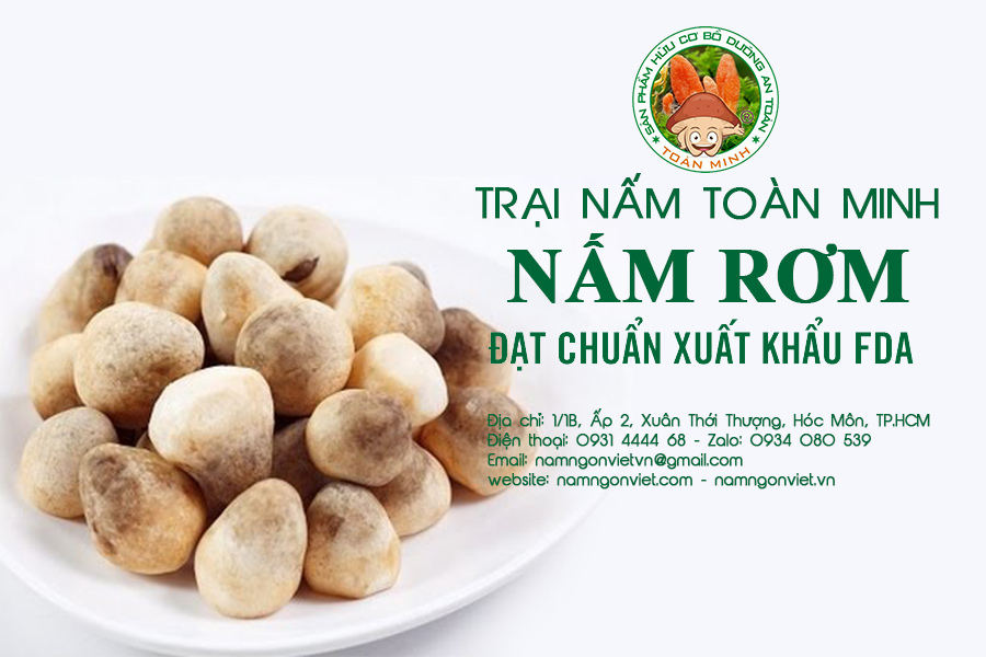 Thành phần dinh dưỡng của nấm rơm, một trong những loại nấm phổ biến nhất hiện nay tại Việt Nam