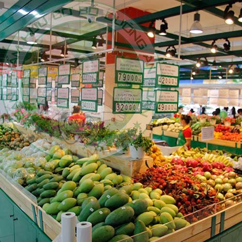 Công ty Toàn Minh chuyên sản xuất bán các loại nấm sạch phân phối hệ thống siêu thị