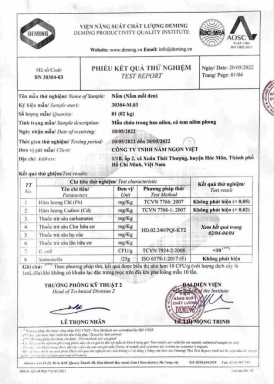 Test Nấm Mối Đen