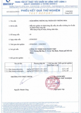 Kết quả thử nghiệm