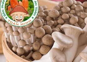 Thành phần dinh dưỡng của nấm rơm, một trong những loại nấm phổ biến nhất hiện nay tại Việt Nam