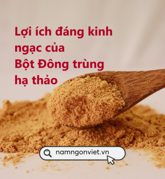 BỘT ĐÔNG TRÙNG HẠ THẢO – MÓN QUÀ SỐ MỘT CHO SỨC KHỎE