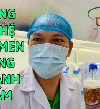 Nhận chuyển giao công nghệ lên men lỏng ngành nấm